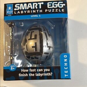 Smart Egg Labyrinth Puzzle - Black and Silver